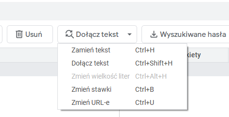 Edytor Google Ads - przydatne funkcje - Formula Words (część 2)
