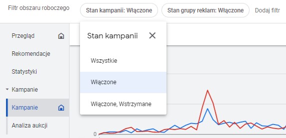 Filtry Google Ads - praktyczne przykłady