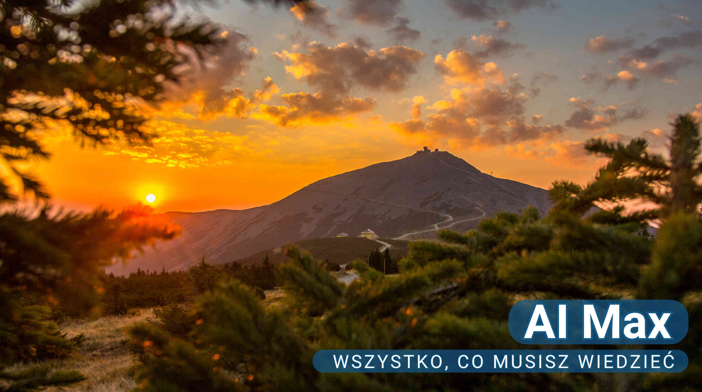 AI Max - wszystko, co musisz wiedzieć