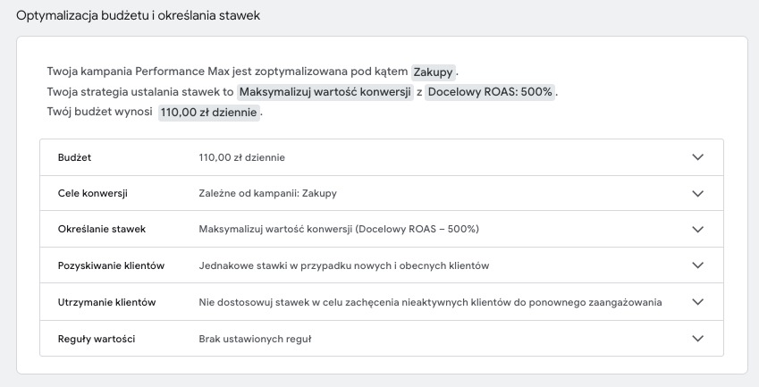 Google Ads pokazuje podsumowanie ustawień kampanii Performance Max