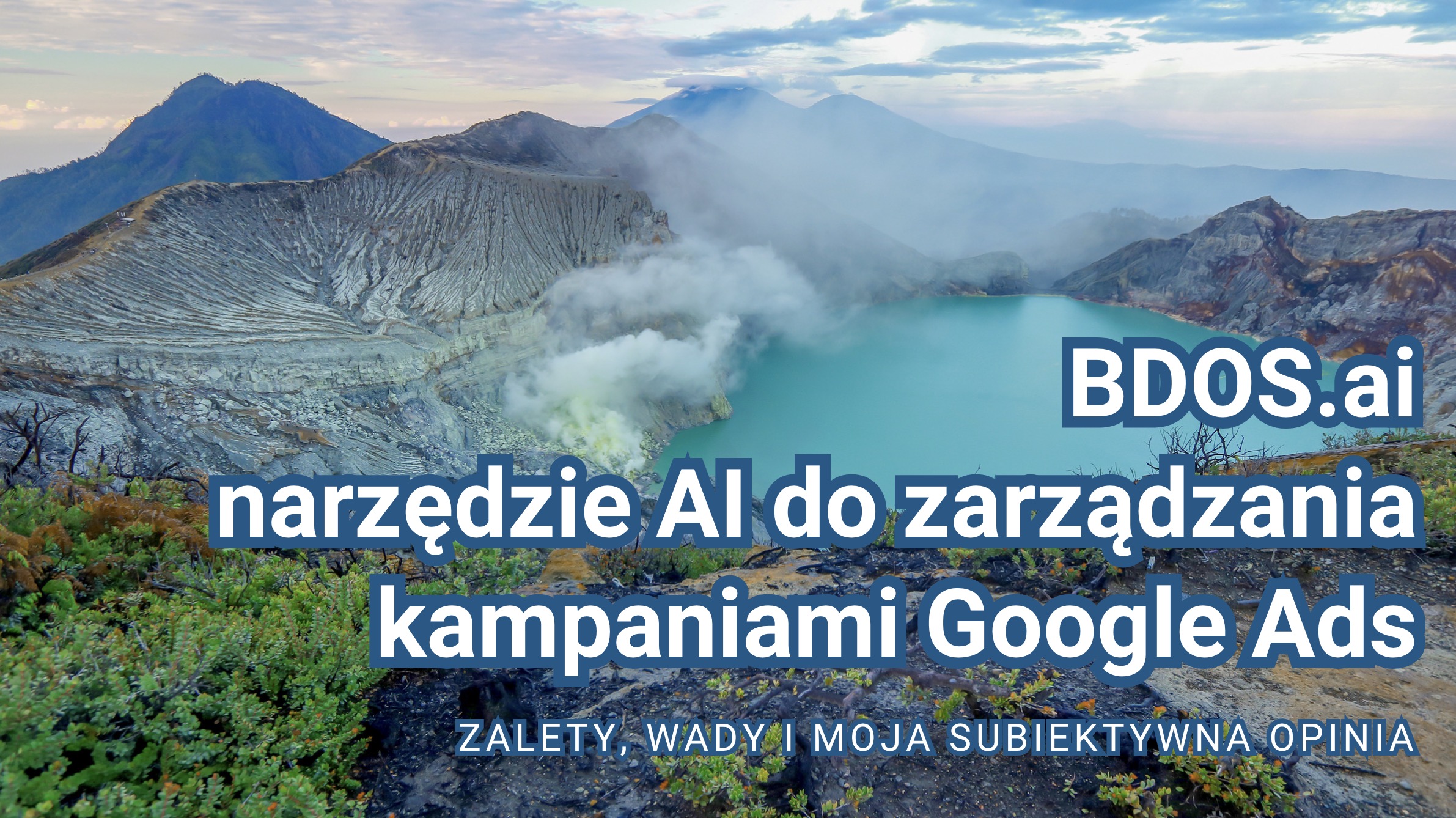 BDOS.ai - narzędzie AI do zarządzania kampaniami Google Ads - zalety, wady i moja subiektywna opinia