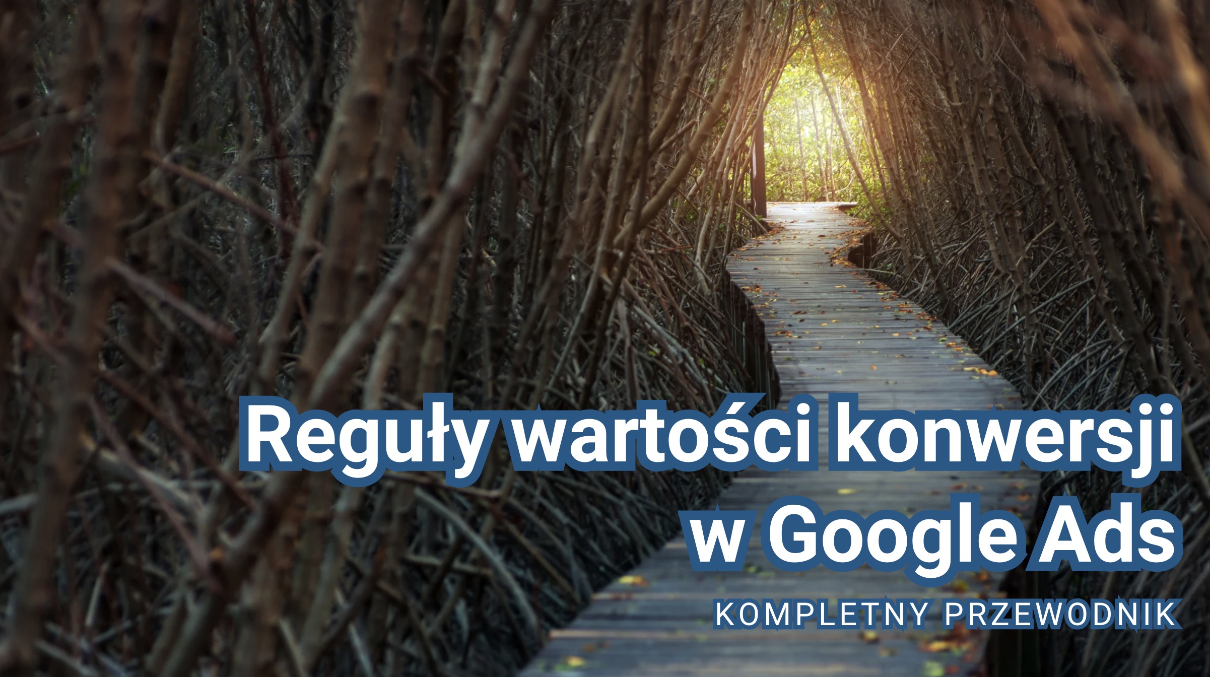 Reguły wartości konwersji w Google Ads - kompletny przewodnik