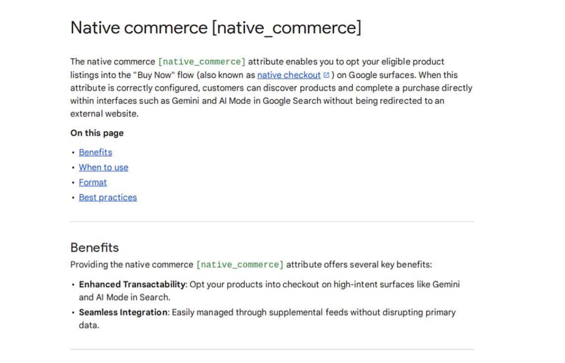 Zakupy bezpośrednio w Gemini i AI Mode - nowy atrybut w GMC - native_commerce