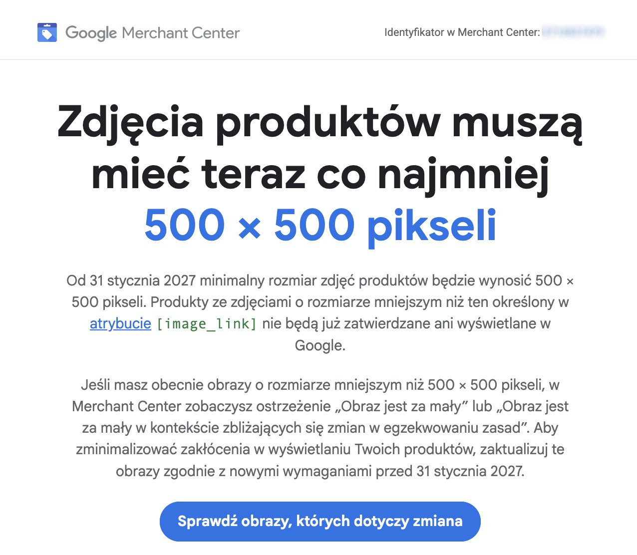 Google podnosi minimalny rozmiar zdjęć produktów