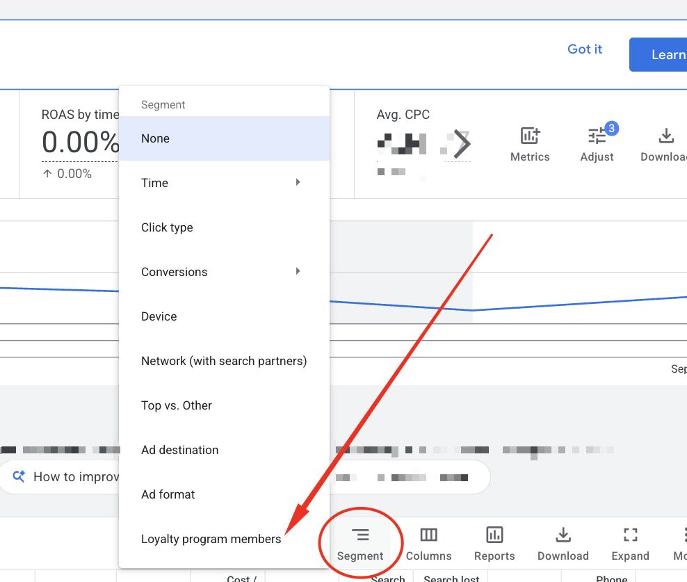 Nowy segment „Loyalty program members” w Google Ads