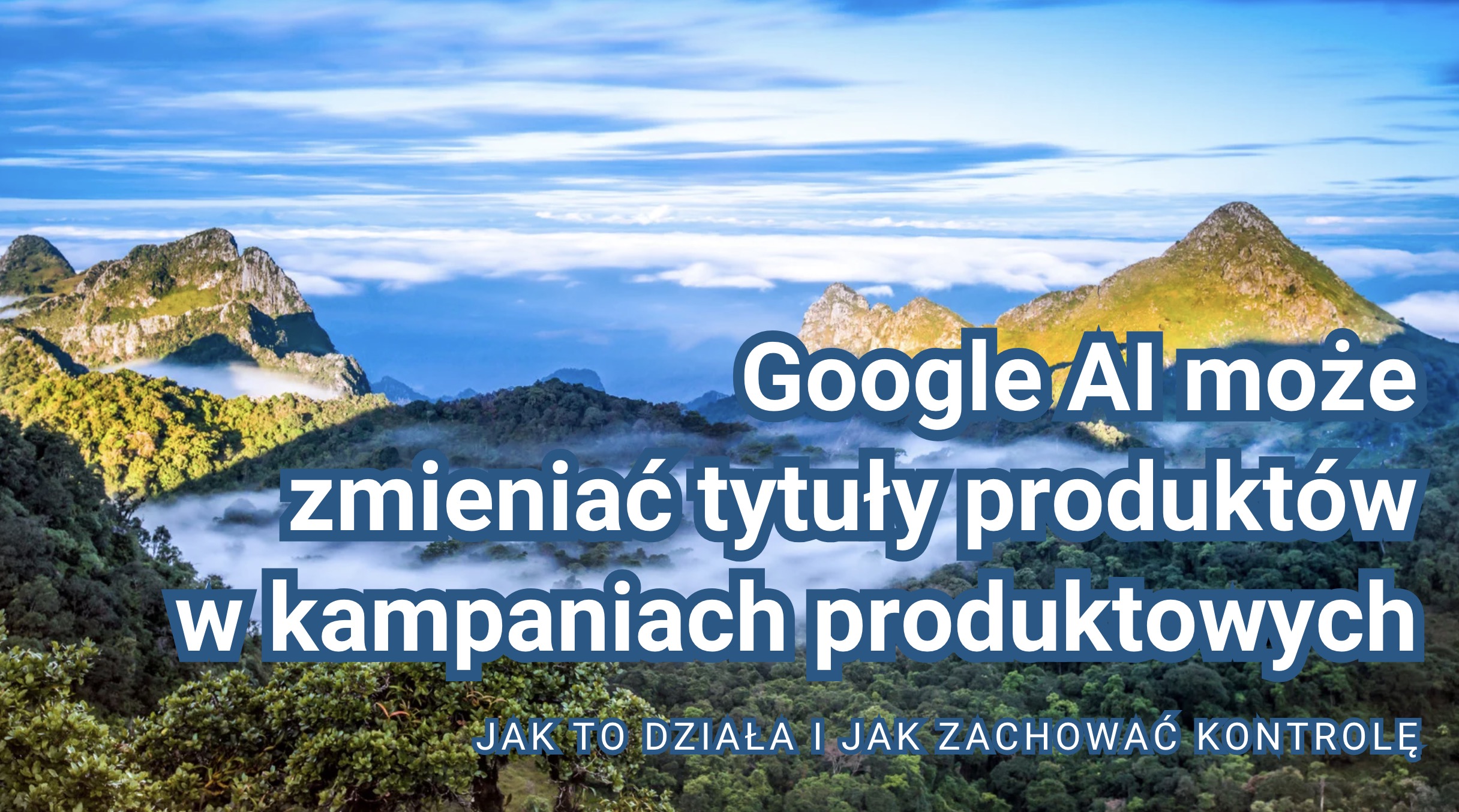 Google AI może zmieniać tytuły produktów w kampaniach produktowych - jak to działa i jak zachować kontrolę?